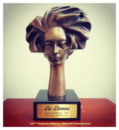 La Lionne Preis von Intercoiffure Mondial
