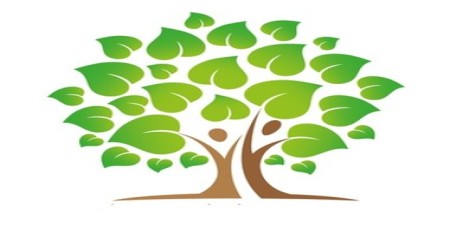 Wissen & Themen: Wellness Haarkosmetik