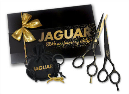 JAGUAR 85th