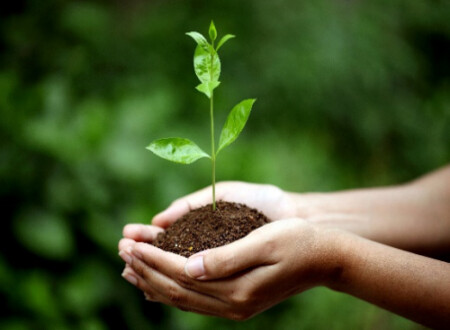 Earth Day 2022