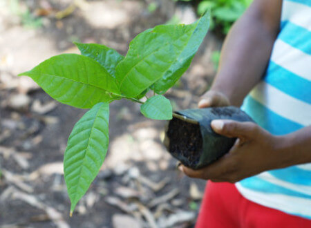 Earth Day