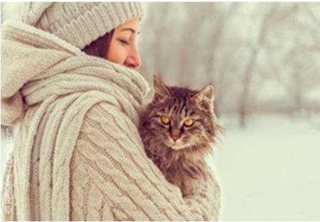 Winterwunderland
